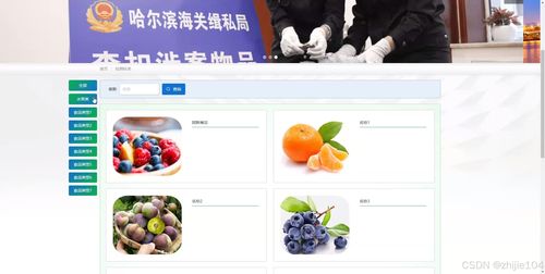 基于django vue vue哈爾濱海關(guān)進(jìn)出口食品安全信息管理系統(tǒng) 計(jì)算機(jī)畢設(shè)